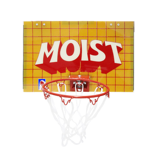 Moist Basketball Hoop and Ball